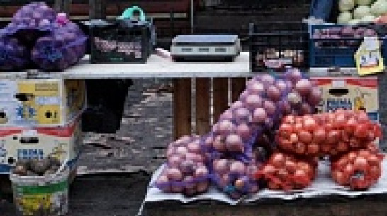 Сельскохозяйственные ярмарки пройдут в Воронеже 15 ноября