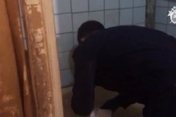 Следственный комитет опубликовал видео с места убийства 2 детей в Воронежской области