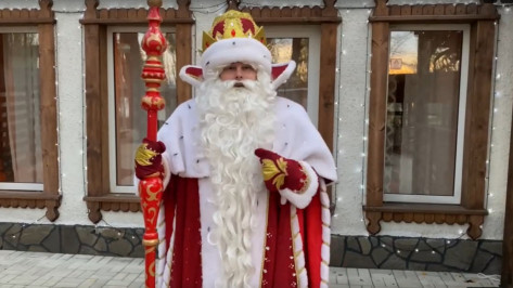 Воронежцев пригласили на день рождения Деда Мороза