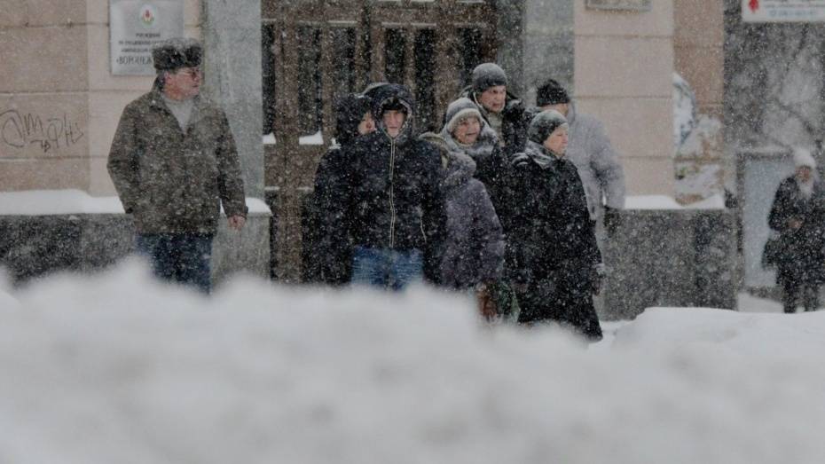 Воронежские синоптики спрогнозировали морозную рабочую неделю со снегом