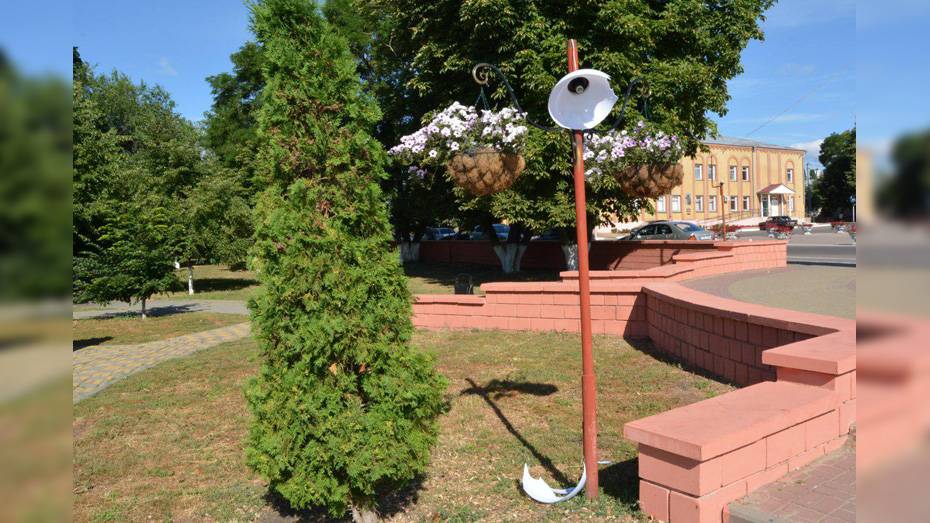 В Богучаре неизвестные отломали и разбили противоударные плафоны на фонарях в парке