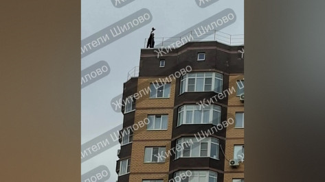 В Воронеже на улице Острогожской школьники развлекались на крыше многоэтажки