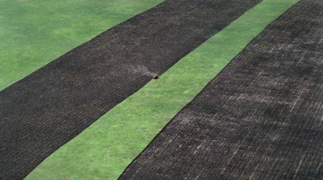 Воронежские аграрии засеяли более 75 процентов площадей под озимые