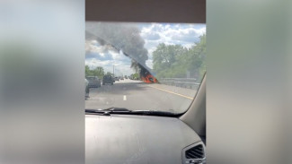Полыхающая на трассе иномарка попала на видео в Воронежской области