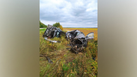 Смертельное ДТП под Воронежем показали на видео от первого лица
