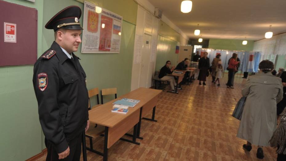 Избирательные участки в Воронеже перед выборами проверят кинологи