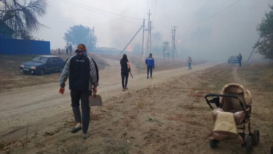 Часть села в Воронежской области сгорела из-за упавшего на ЛЭП дерева