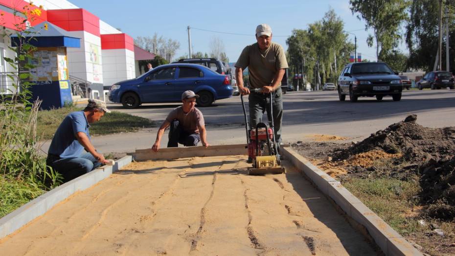 В Каменке на строительство тротуаров направят более 2 млн рублей