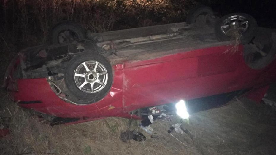 В Верхнемамонском районе пассажирка Ford Focus погибла из-за выбежавшей на дорогу собаки