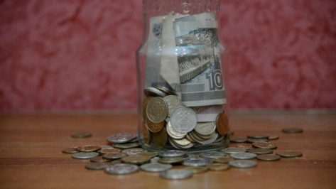 Доходы жителей Воронежской области за год упали на 5,3%