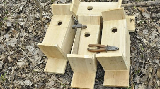 Воронежские дети развесят скворечники в парке «Орленок»