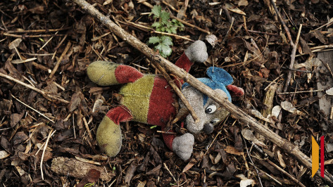 В Воронежской области мать осудили за избиение сыновей кнутом и металлической трубой