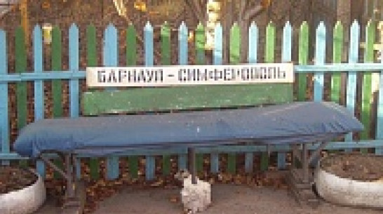 Житель новохоперского села установил рядом с домом «железнодорожную» скамейку