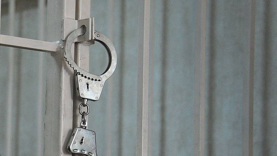 В Воронежской области за полгода разоблачили 50 преступных групп