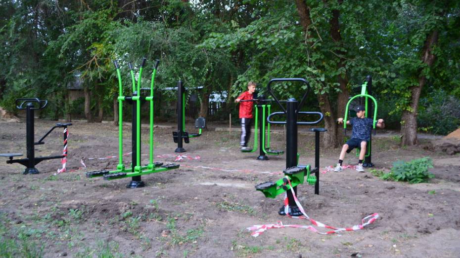 Общественники оборудовали спортплощадку в парке петропавловского села Новый Лиман