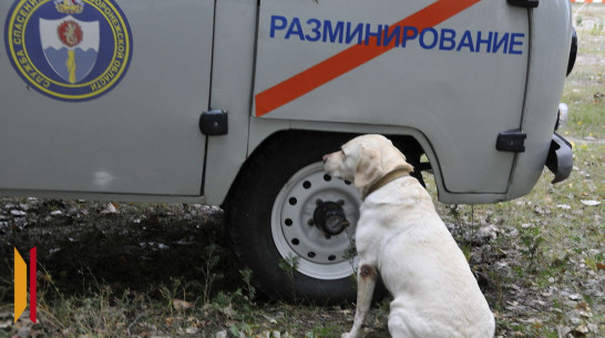 Власти прокомментировали работу взрывотехников под Воронежем