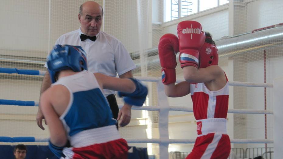Бобровские боксеры выиграли 5 золотых медалей на межобластном турнире