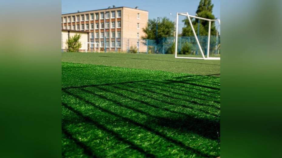«Факел» заменит старый газон на футбольном поле воронежской школы