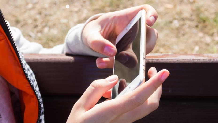 Воронежцев предупредили о новой схеме мошенничества по обману детей в онлайн-играх