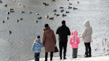 Единое семейное пособие получили родители почти 37 тыс детей в Воронежской области