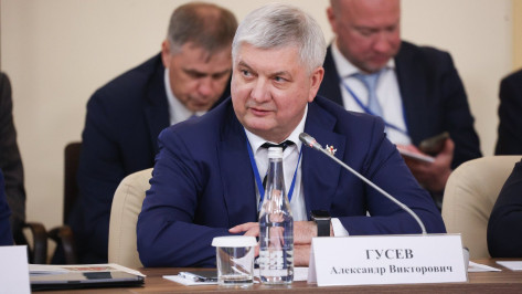 Губернатор Воронежской области предложил присвоить звание Героя России летчику Великой Отечественной войны Александру Мамкину