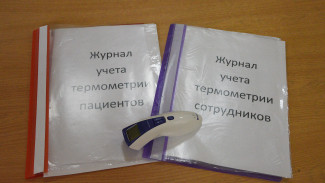 Воронежский детский лагерь поплатился в суде за фиктивное ведение журнала термометрии