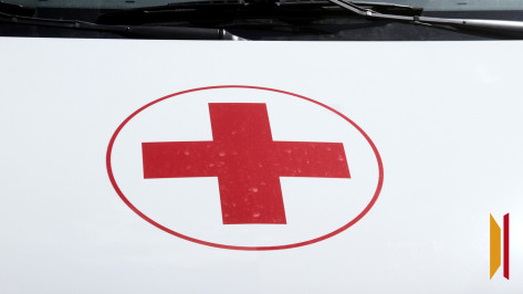 В Воронежской области лист поликарбоната с теплицы прилетел в голову ребенку