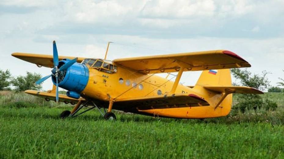 Полиция: пилот севшего в пригороде Богучара самолета был трезв