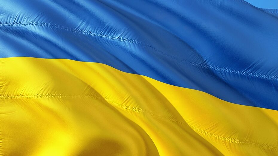 Воронежская компания попала под украинские санкции