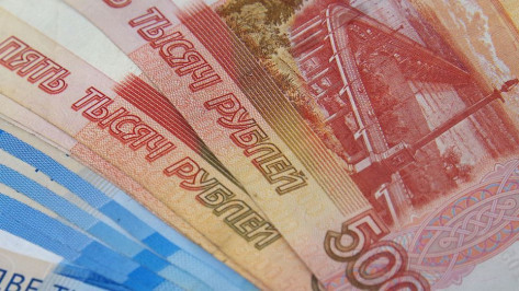 Доярка из Воронежской области перевела более 1,8 млн рублей лжеинвесторам