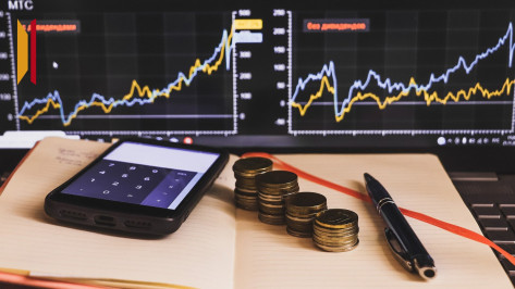 Воронежский предприниматель задолжал государству 117 млн рублей