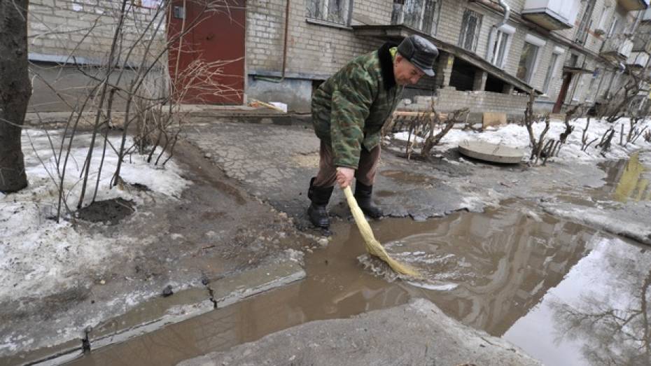 Всю неделю в Воронежской области будет аномально тепло, а к выходным погода войдет в норму