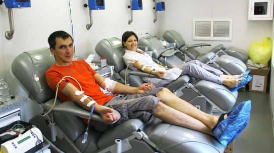 Семилукцы смогут сдать кровь в День донора