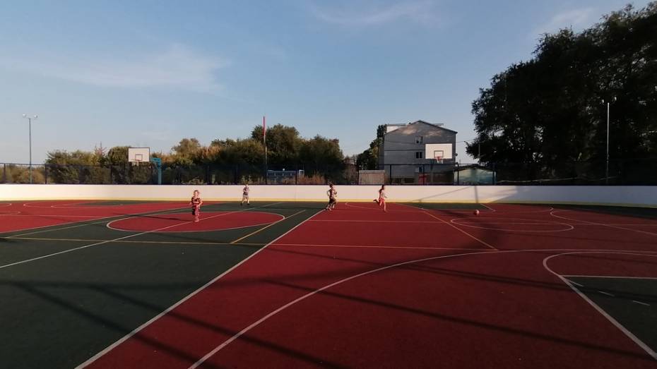 В школе эртильского поселка Красноармейский сделали многофункциональную спортплощадку