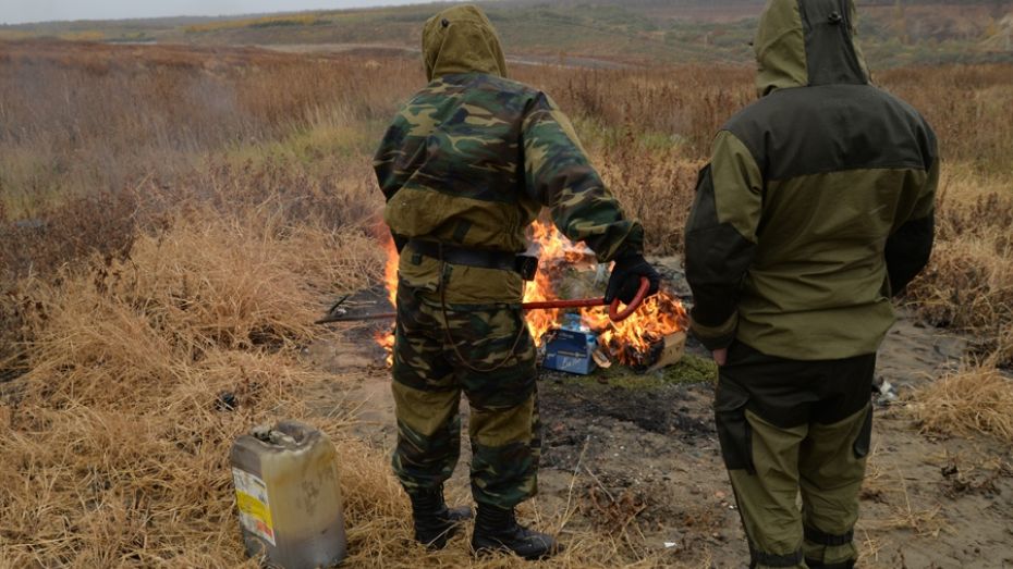 Воронежские наркополицейские сожгли более 20 кг наркотиков