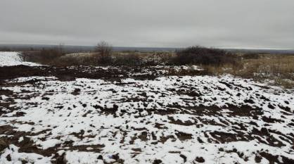 В Воронежской области несанкционированная свалка причинила почвам ущерб на 65,7 тыс рублей