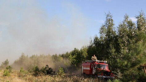 На большей части Воронежской области установился высокий класс пожароопасности