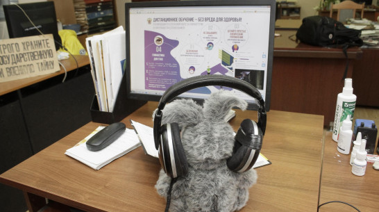 Две воронежские школы перевели на дистанционное обучение из-за вспышек пневмонии