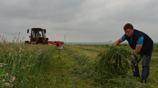 Нижнедевицкие аграрии приступили к заготовке сена