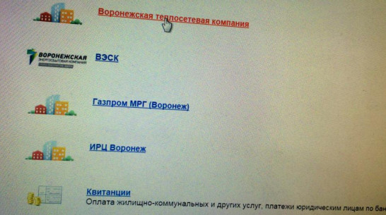 За год коммунальные онлайн-платежи воронежцев выросли на 11%