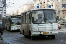 Более 20 маршрутов претерпят изменения в Воронеже до 1 июля