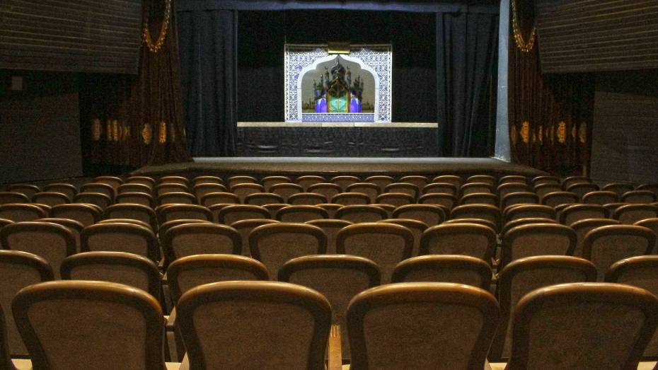 Зрительный зал Театра кукол имени Вольховского в Воронеже модернизируют за 9 млн рублей