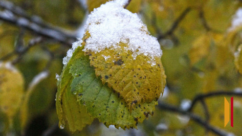 В Воронеже прогнозируют мокрый снег