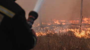 Взгляд из соцсетей. Как жители отреагировали на пожары в Воронежской области