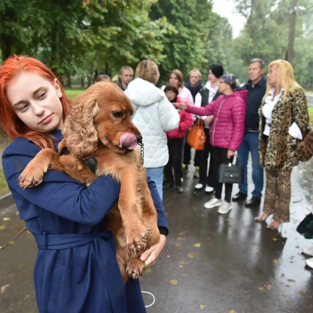 «Травила и буду травить!». Жители воронежского микрорайона борются с  местным догхантером