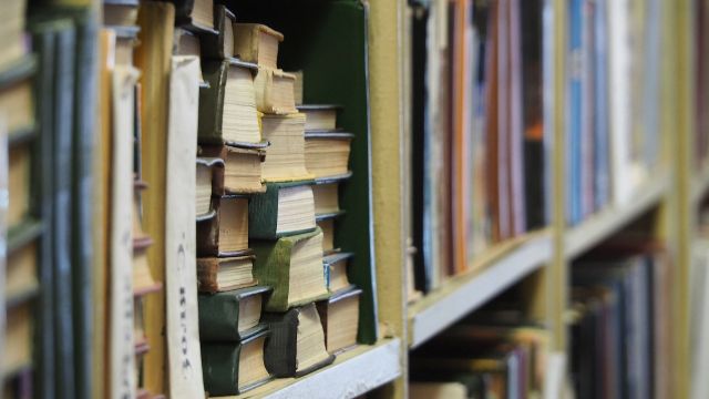 «Бомжовка» и «гонзать» оказались характерными для Воронежской области словами