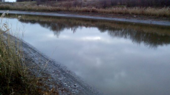 Жители воронежской деревни пожаловались на попытку осушить местное озеро