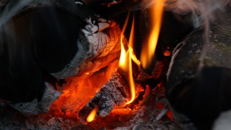 В Воронежской области на пожаре погибли две женщины