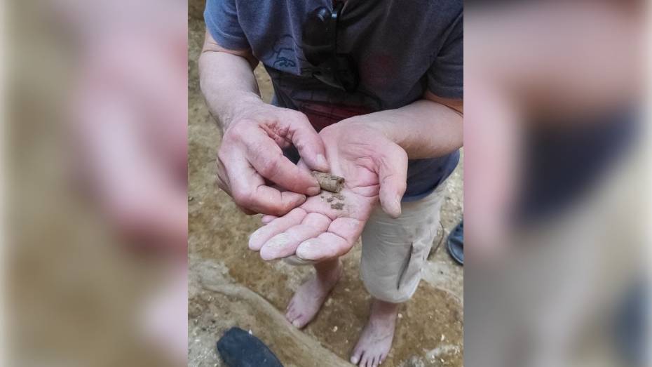 В Воронежской области археологи нашли подвеску из раковины исчезнувшего 40 млн лет назад моллюска