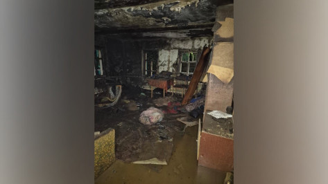 В Воронежской области женщина из ревности подожгла дом соседки